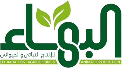 مزارع البهاء