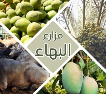 مزارع البهاء